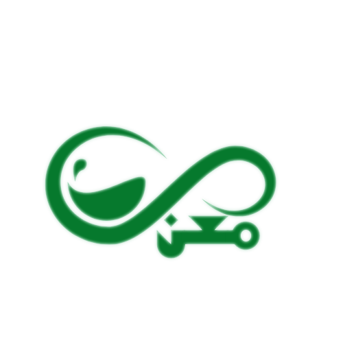 مشاهدات لايف تيك توك