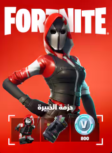 حزمة الخبير