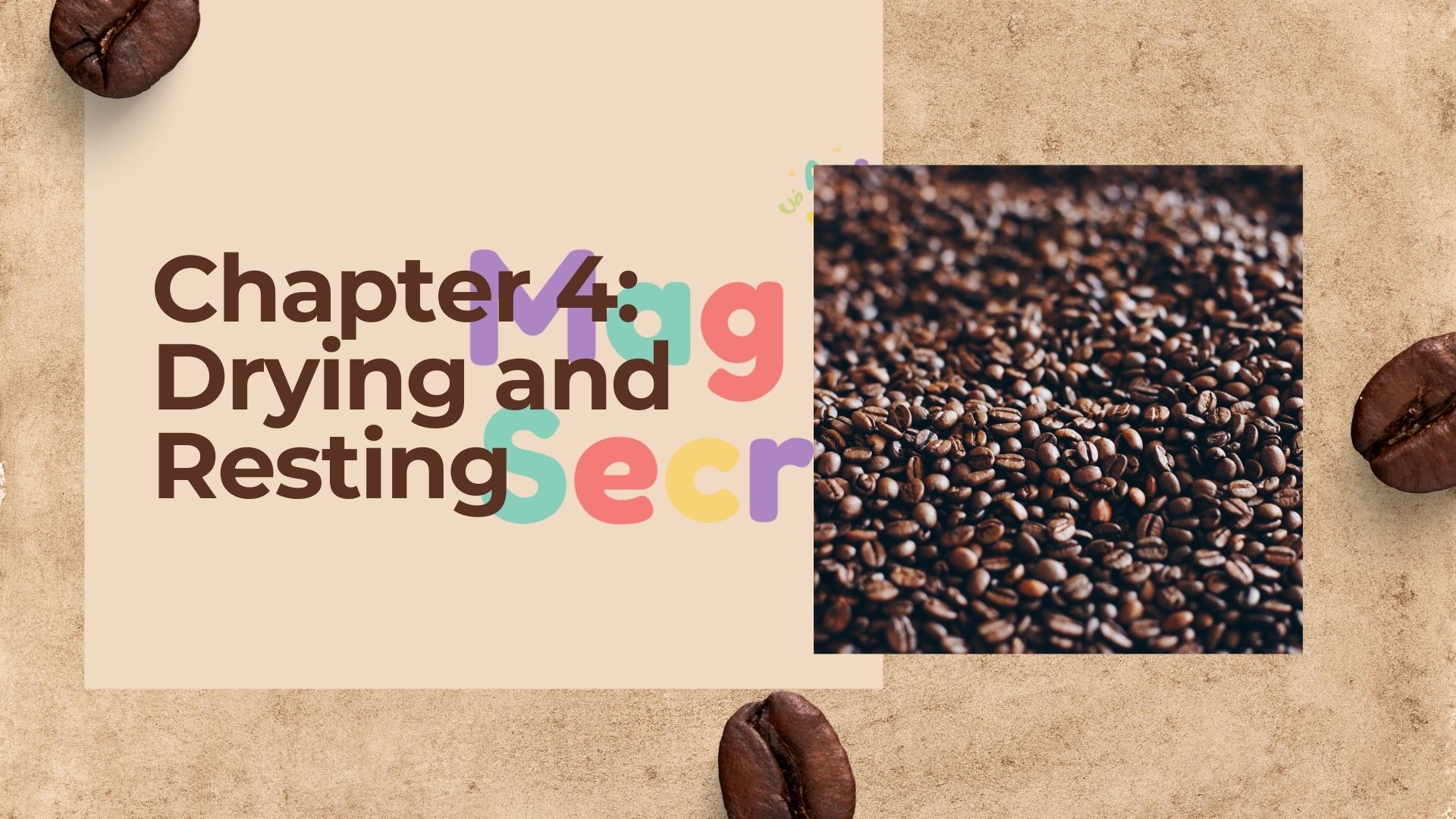 عرض باوربوينت عن تاريخ القهوة باللغة الإنجليزية - The Epic Journey  of a Coffee Bean