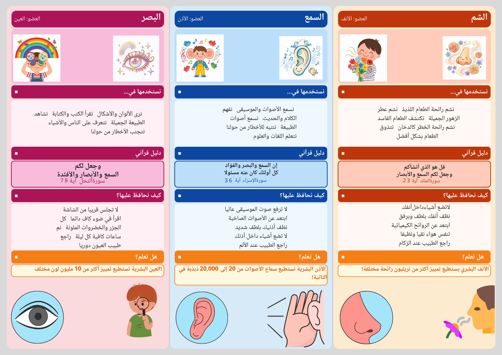 الحواس الخمس