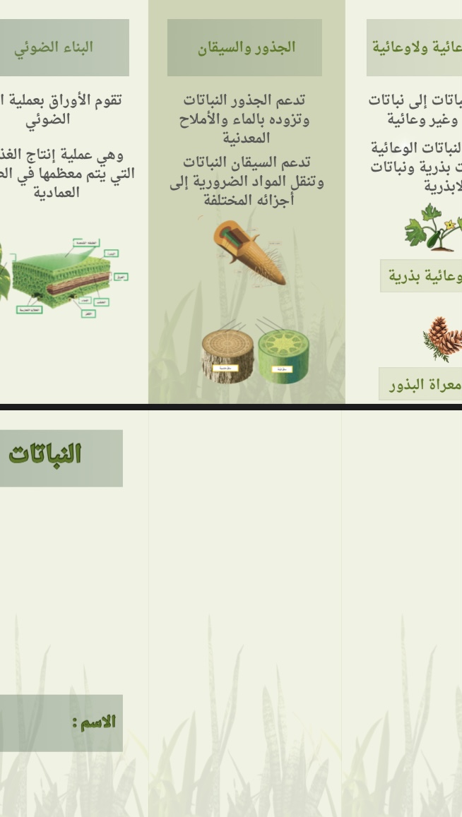 النباتات علوم صف خامس