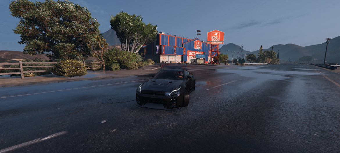Private Cars GTR
