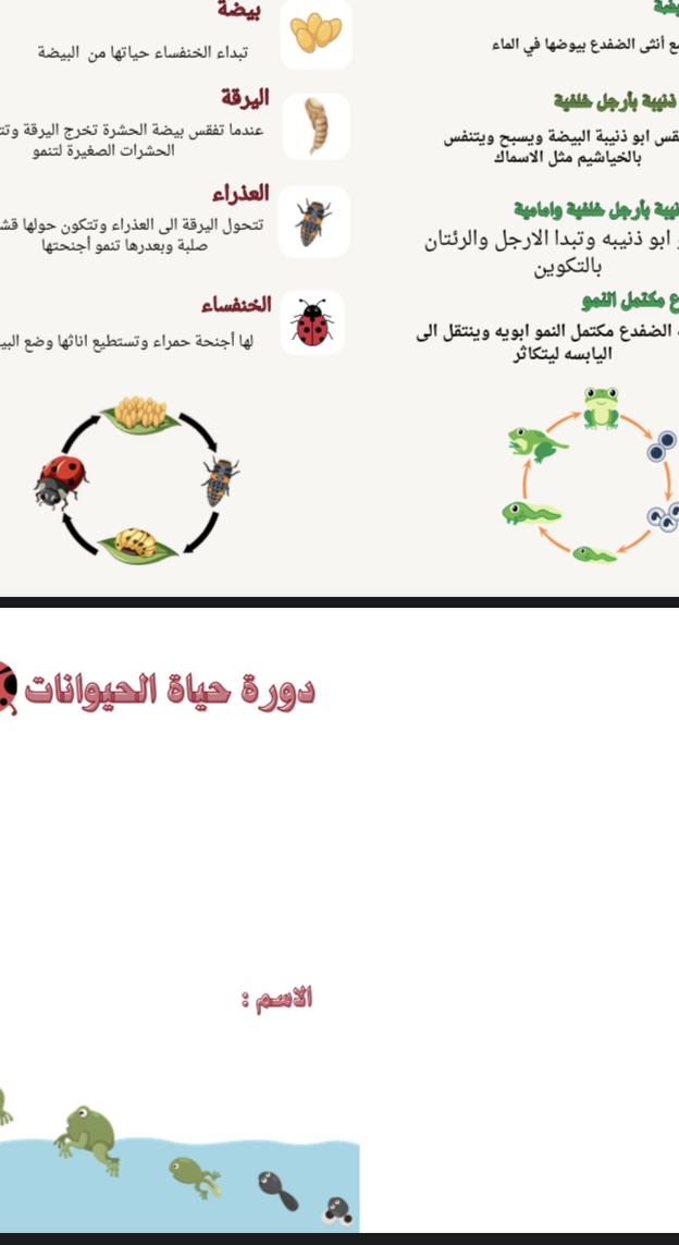 مطوية درس دورة حياة الحيوانات صف ثالث علوم الفصل الاول
