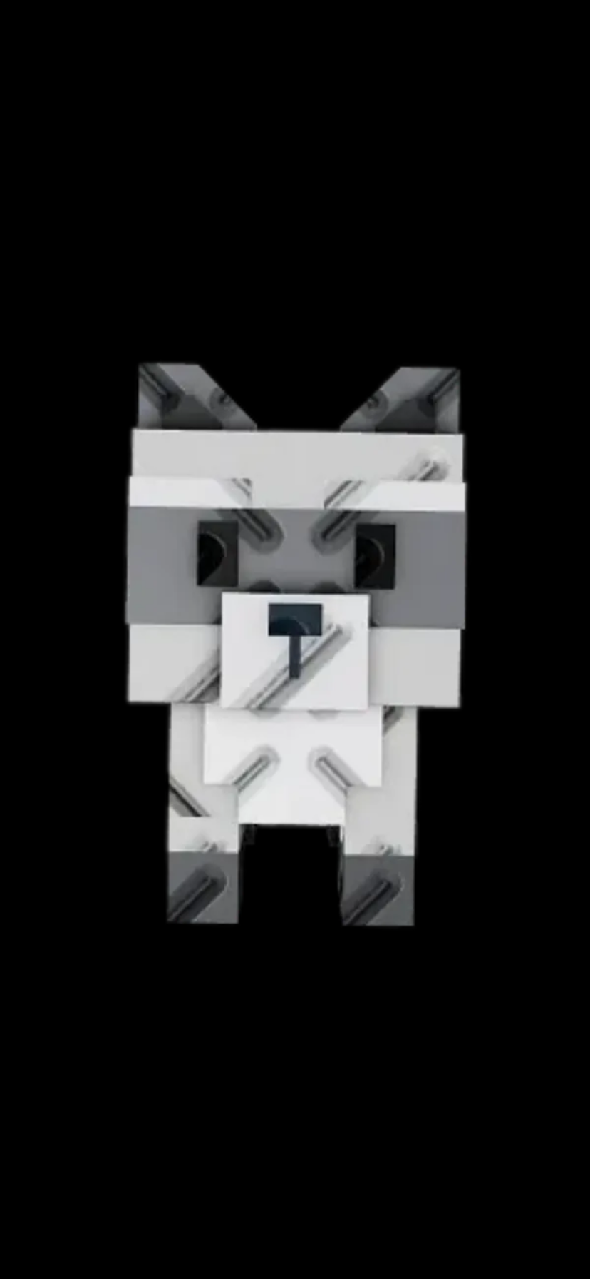 Raccoon