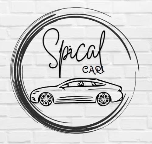 Special Car