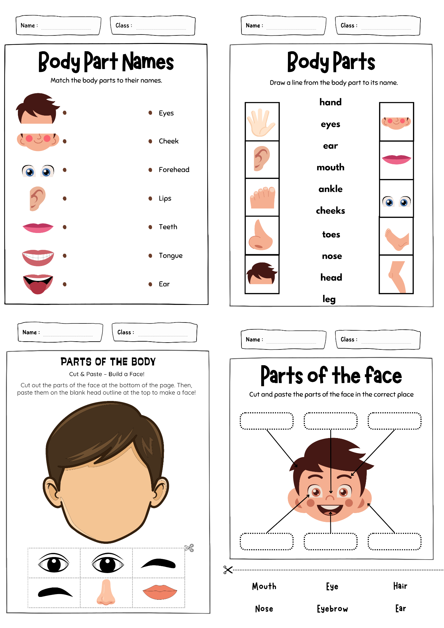 أوراق عمل درس ( my body ) مادة اللغة الإنجليزية pdf