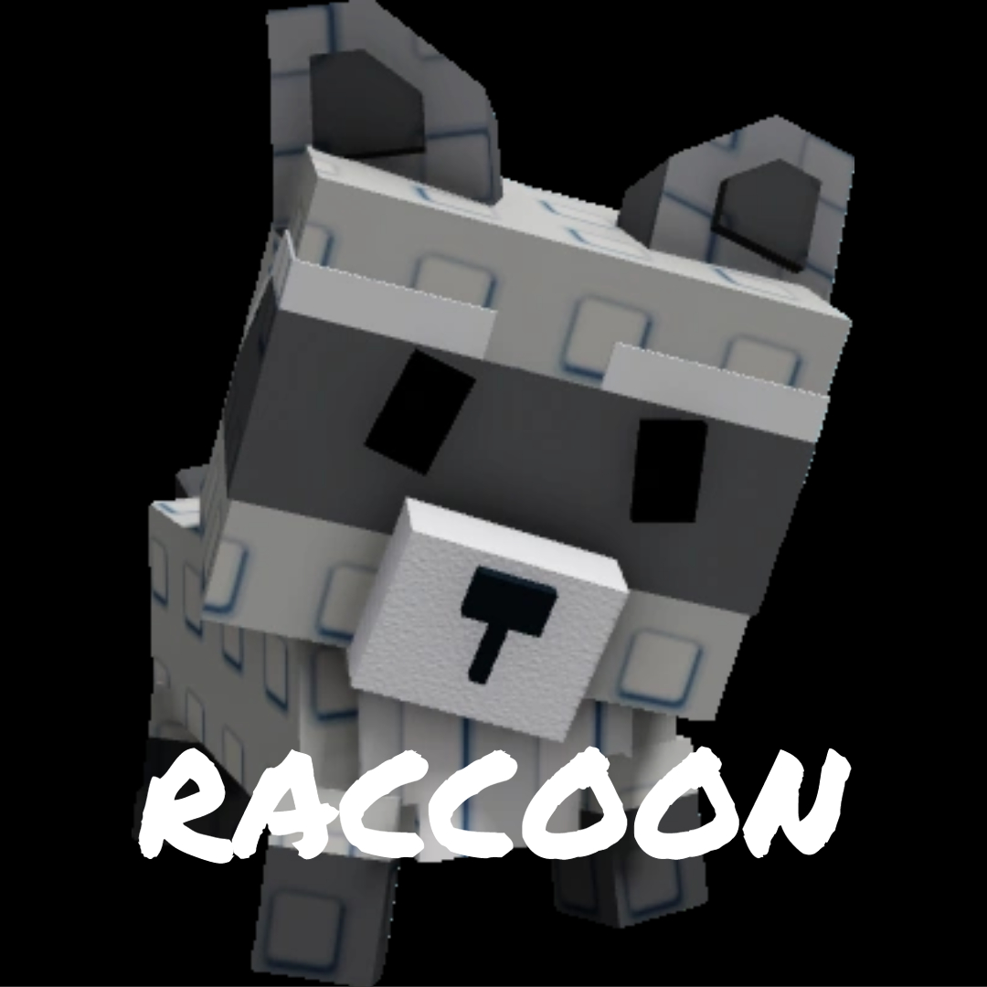 RACCOON