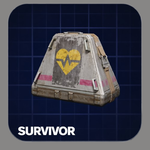 Blueprint (looting mk3 survivor)