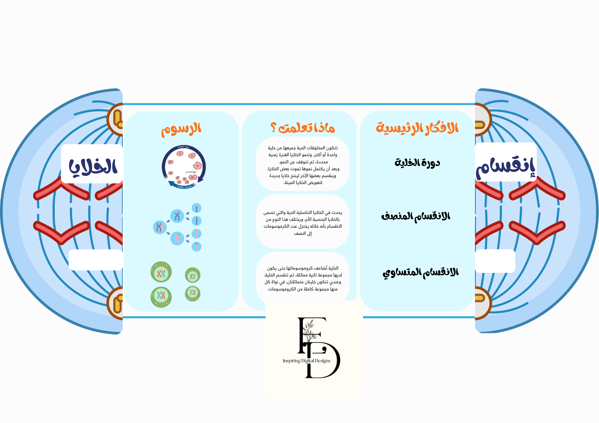 مطوية [انقسام الخلايا] سادس ابتدائي ١