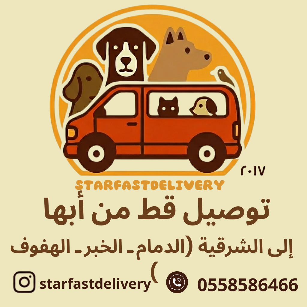 توصيل قط من أبها إلى الشرقية (الدمام ـالخبر ـ الهفوف )