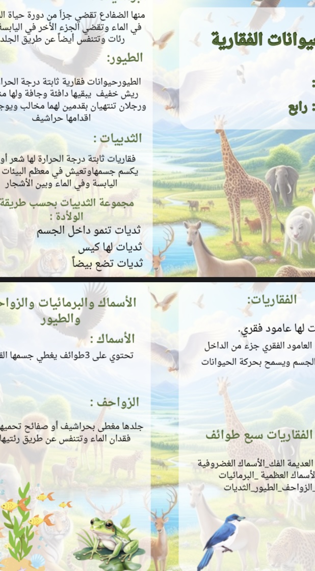 مطوية الحيوانات الفقارية صف رابع علوم الفصل الاول