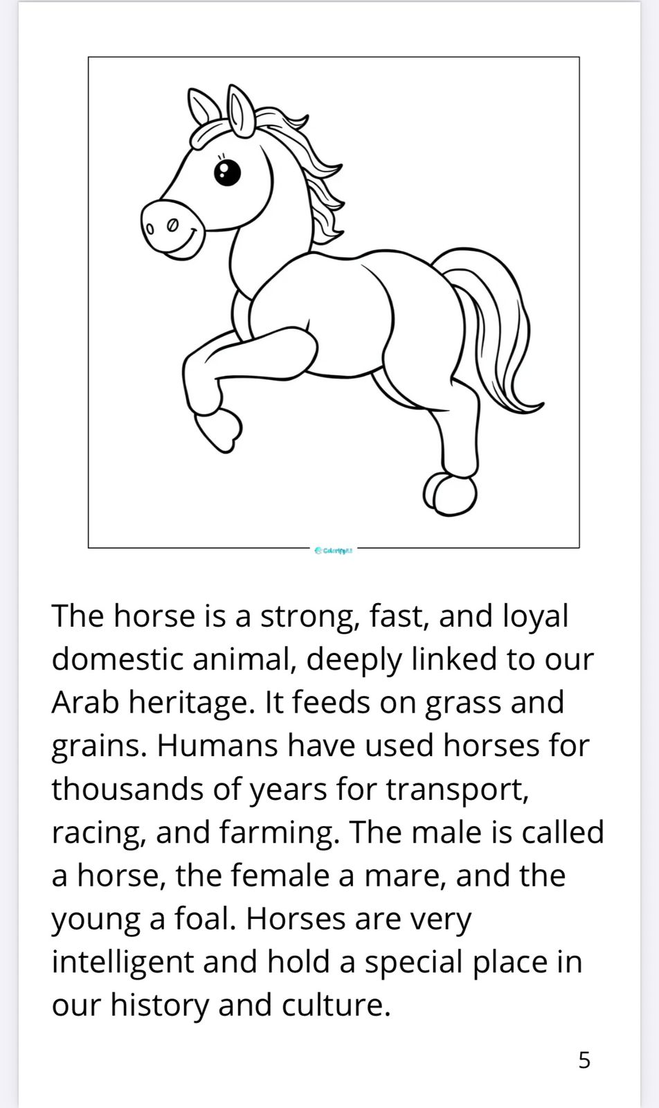 An Adventure with Animals – Fun Coloring & Activity Book for Kids Ages 3–10