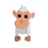Albino Monkey