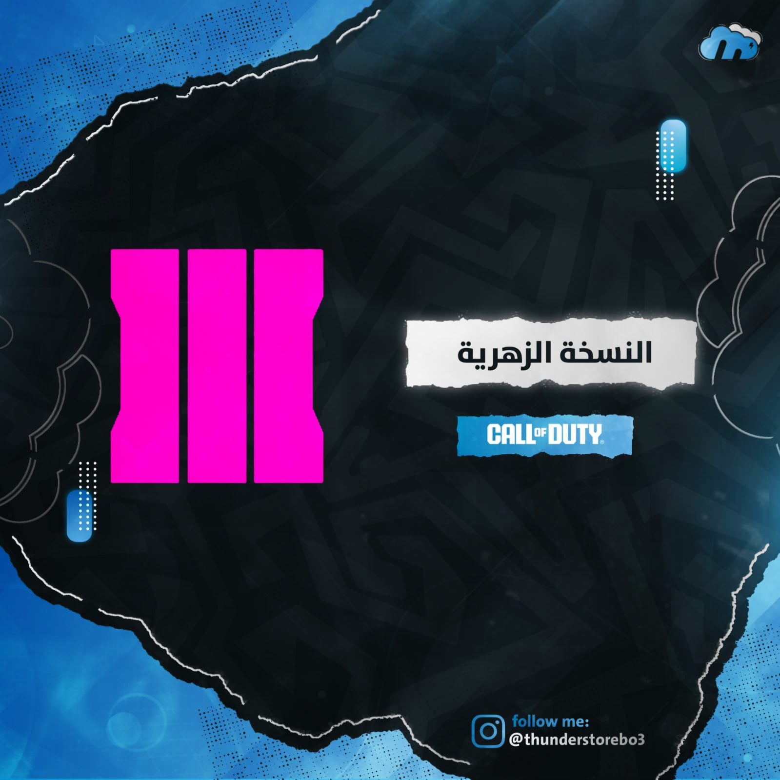 النسخة الزهرية