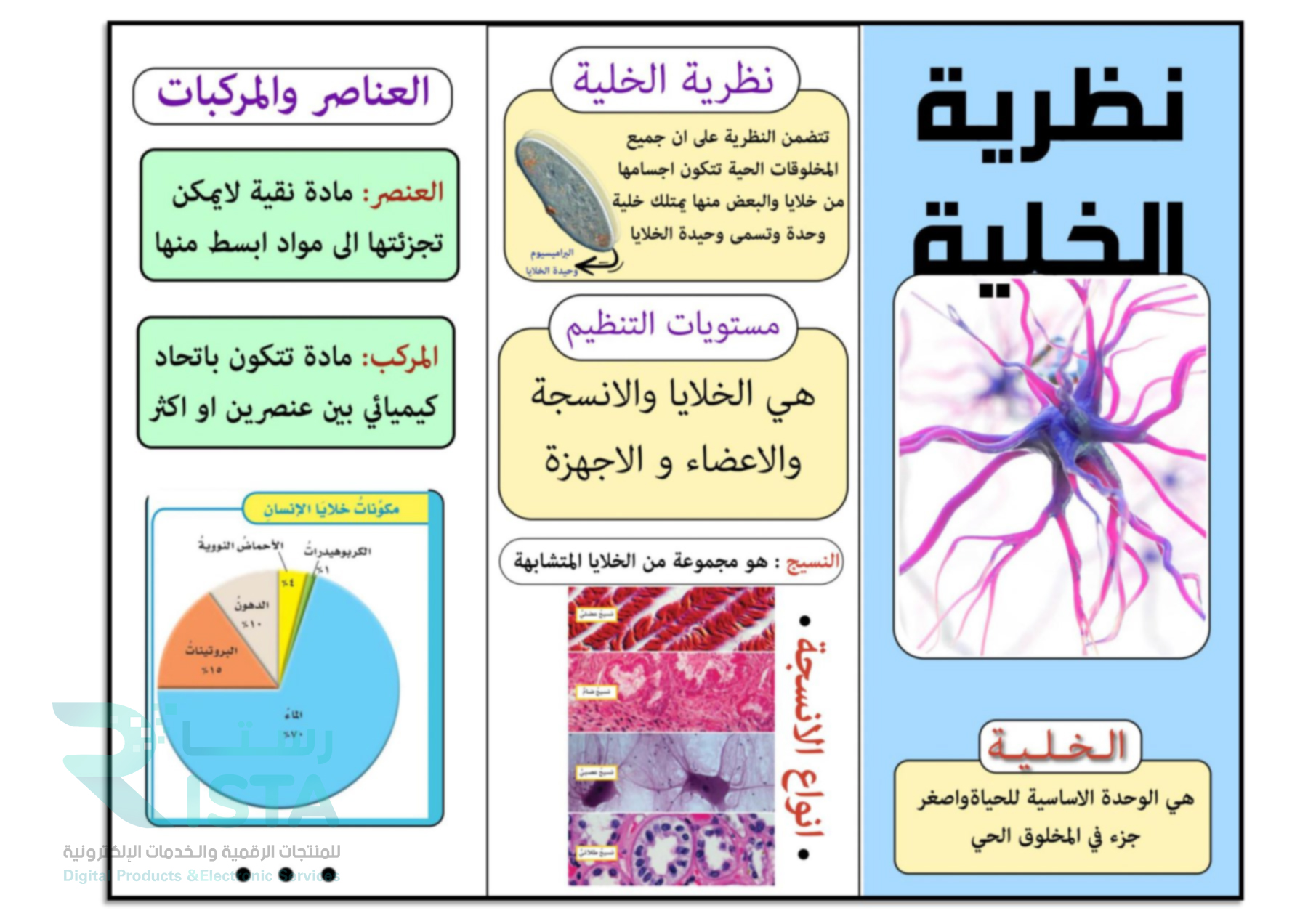 مطوية نظرية الخلية علوم سادس ابتدائي الفصل الاول