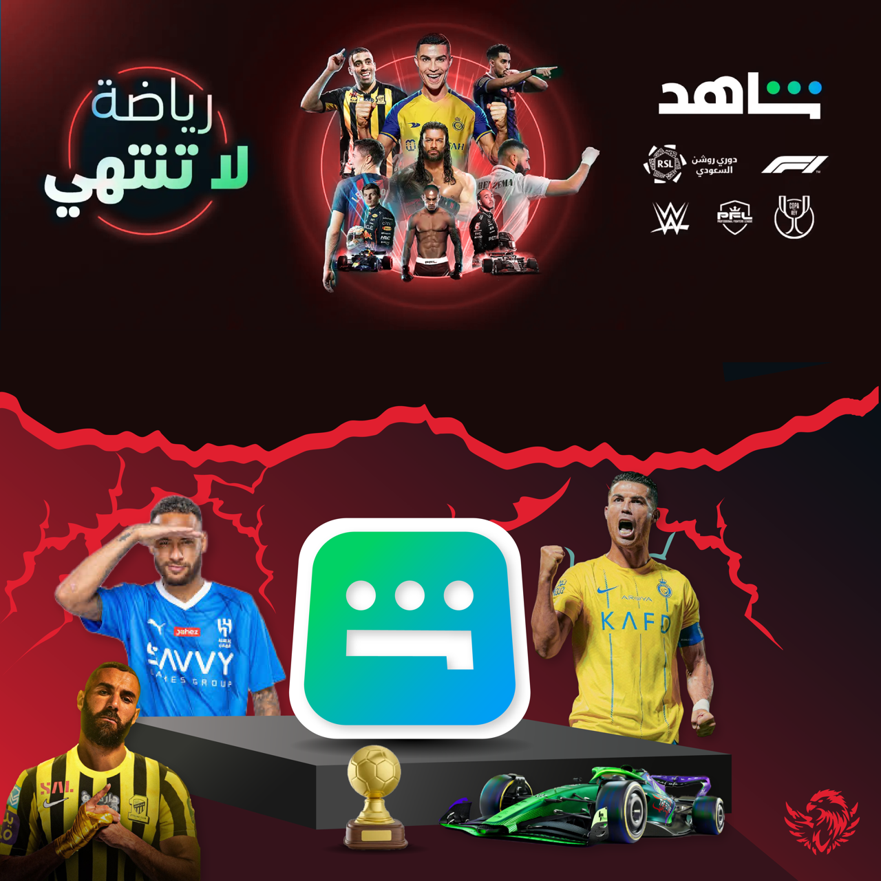 اشتراك شاهد VIP