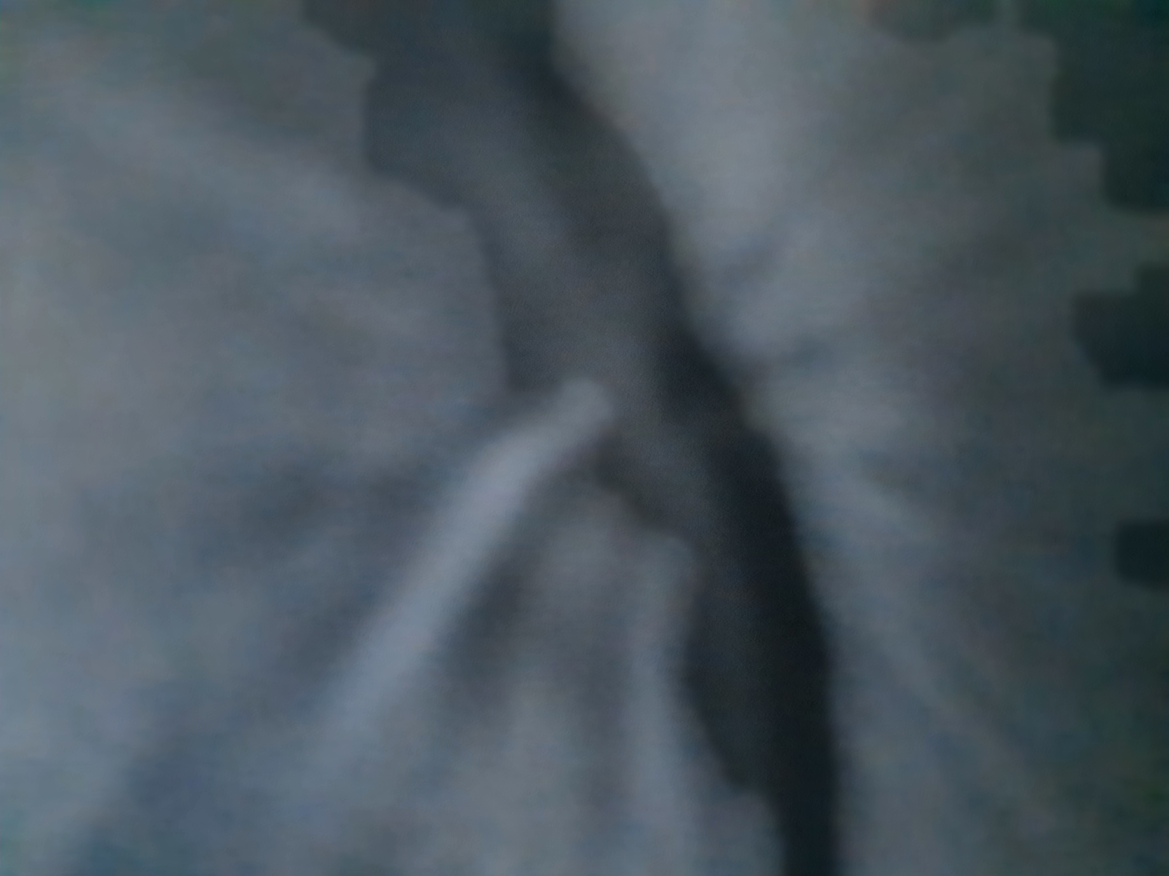 اعضاء ديسكورد اونلاين