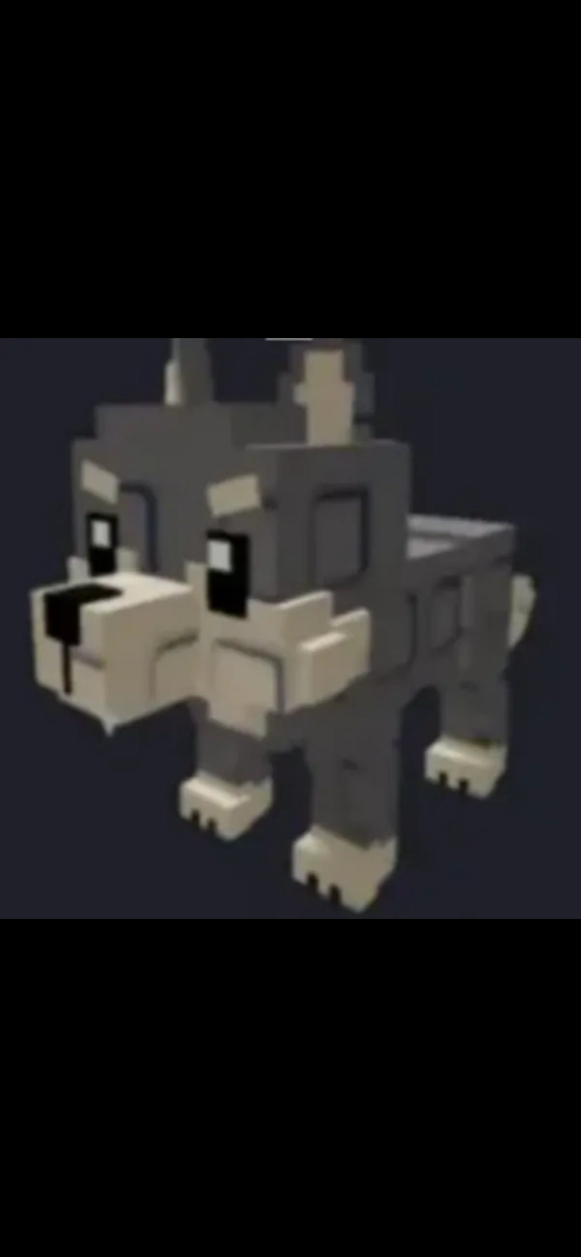 wolf