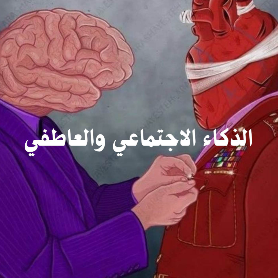 الذكاء العاطفي والاجتماعي