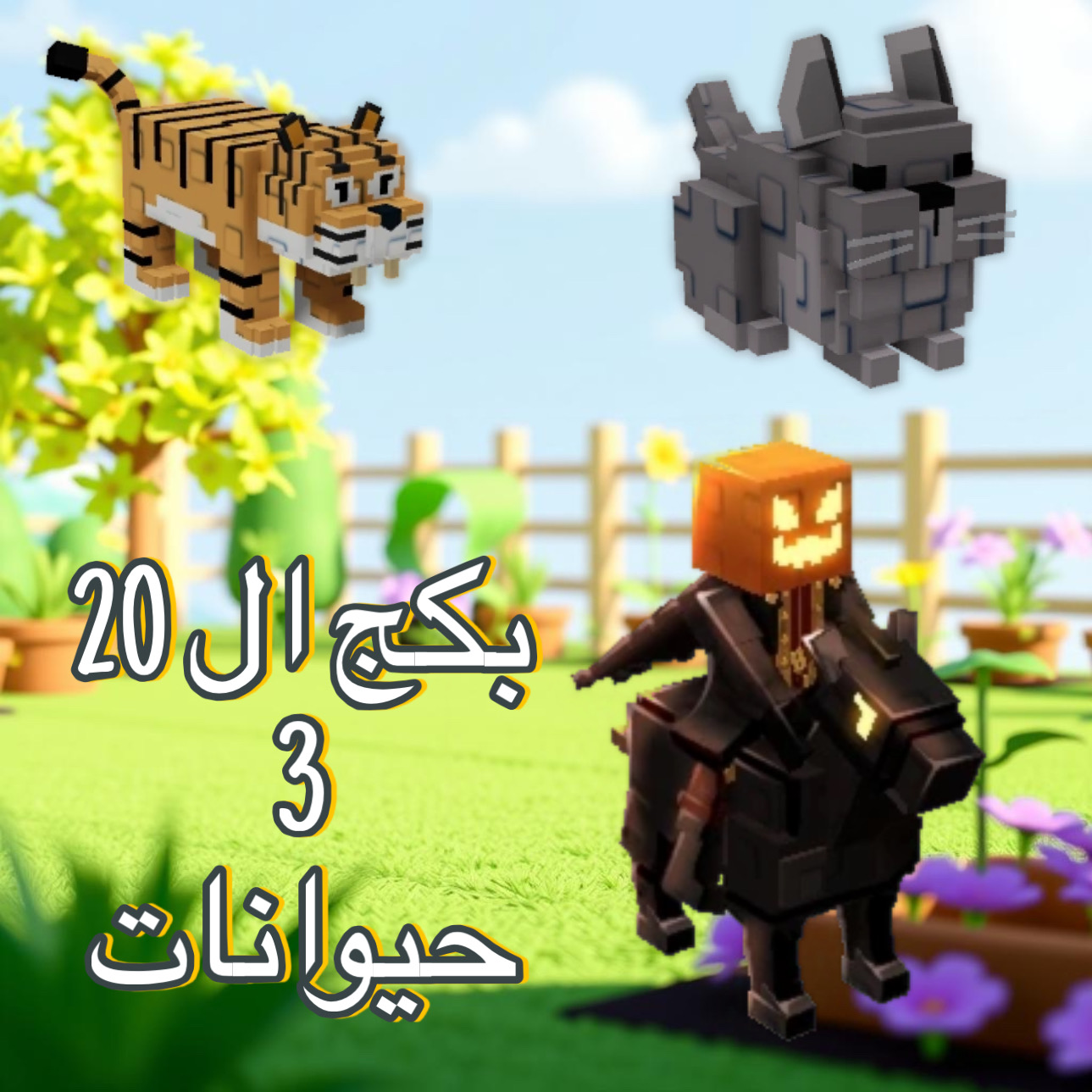 بكج ال 20 | 3 حيوانات