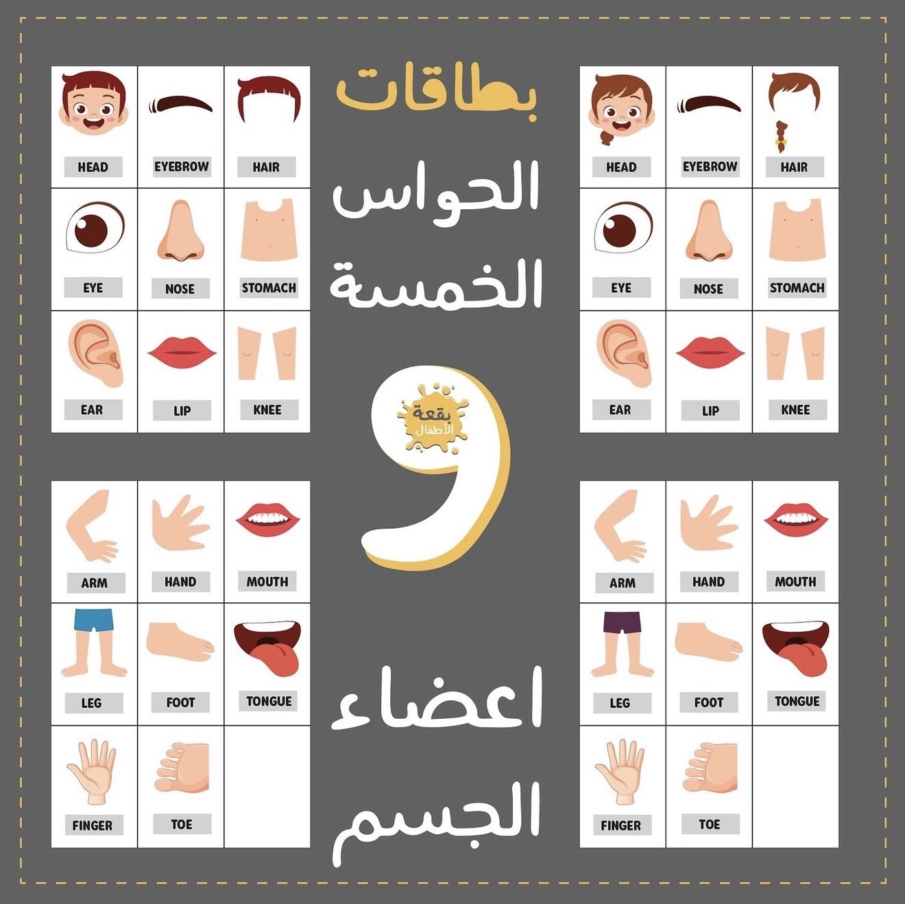 ملف الحواس الخمس واعضاء الجسم باللغة الإنجليزيه ومتوفر ايضاً باللغه العربيه