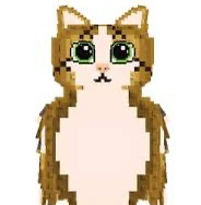 Meowl