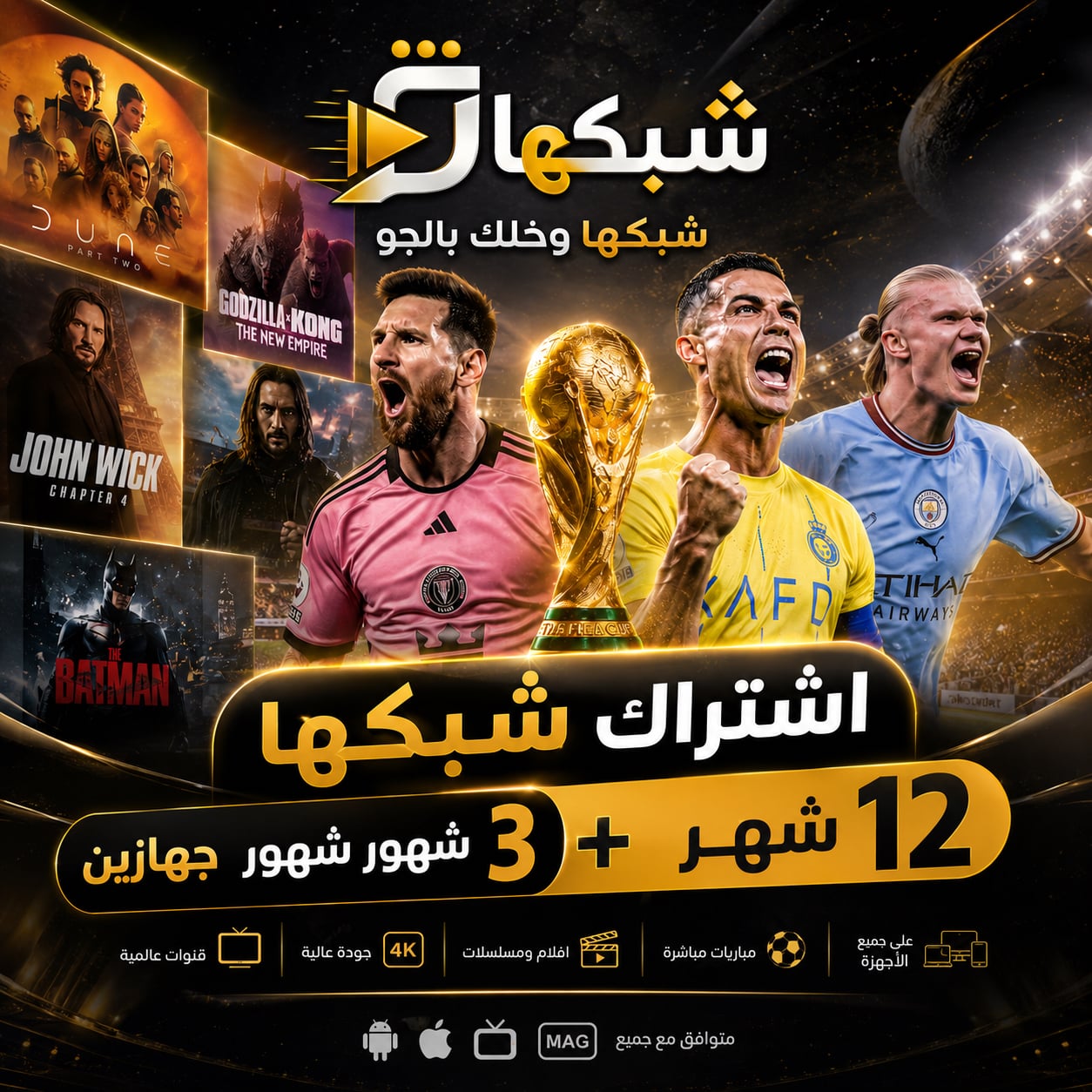 اشتراك شبكها 12 شهر+3 شهور هدية جهازين