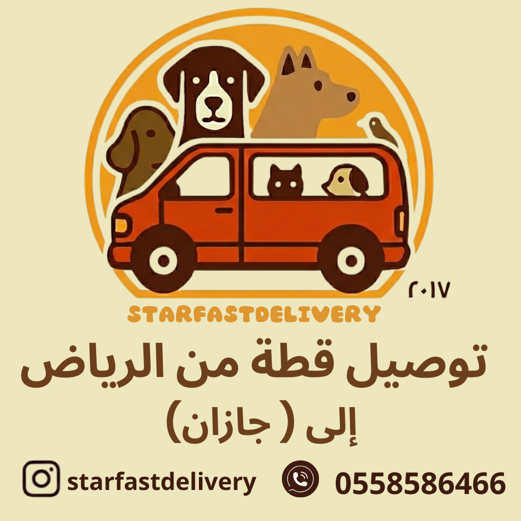 توصيل قطة من الرياض لجازان