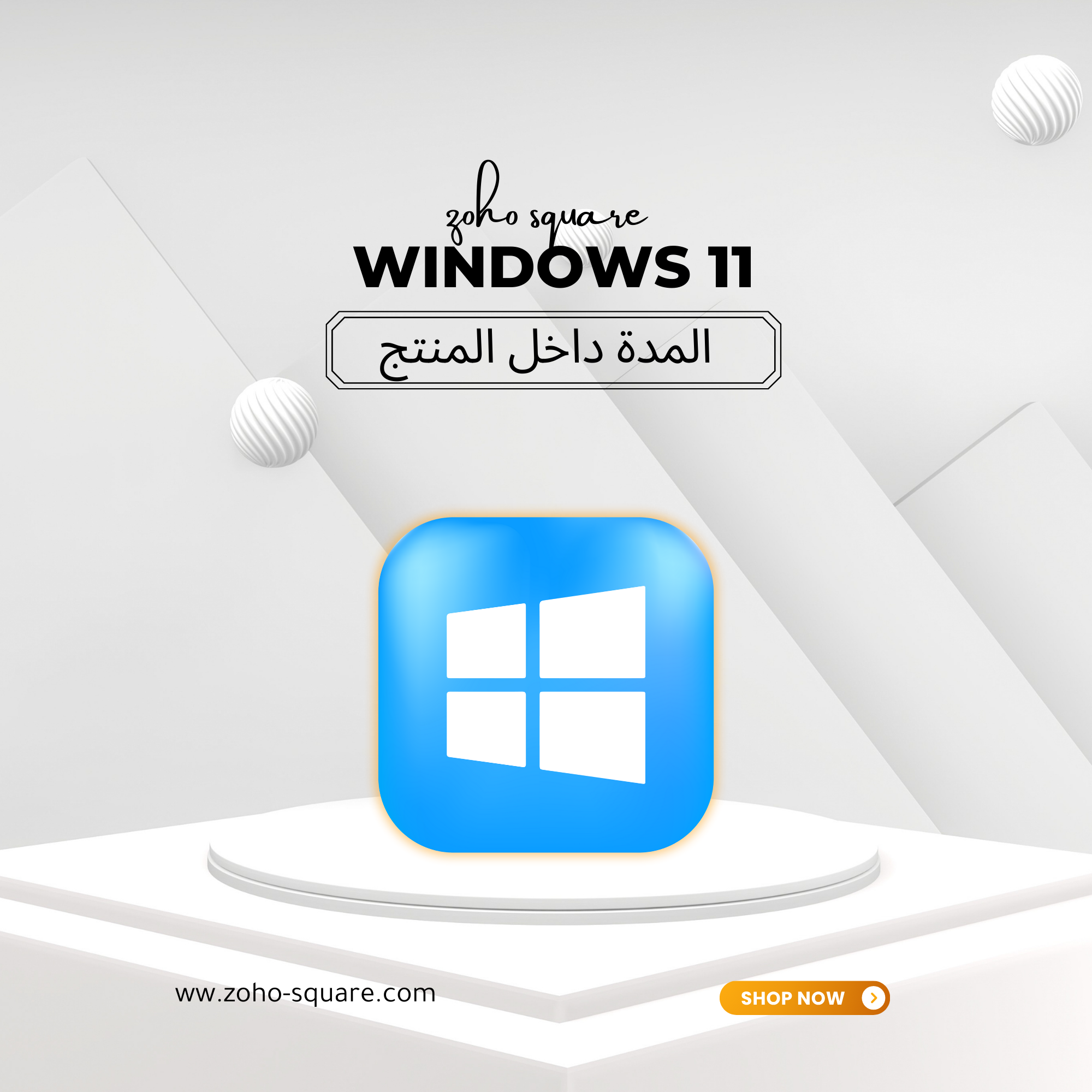Windows 11