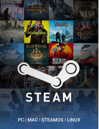 STEAM GIFT CARD  31$