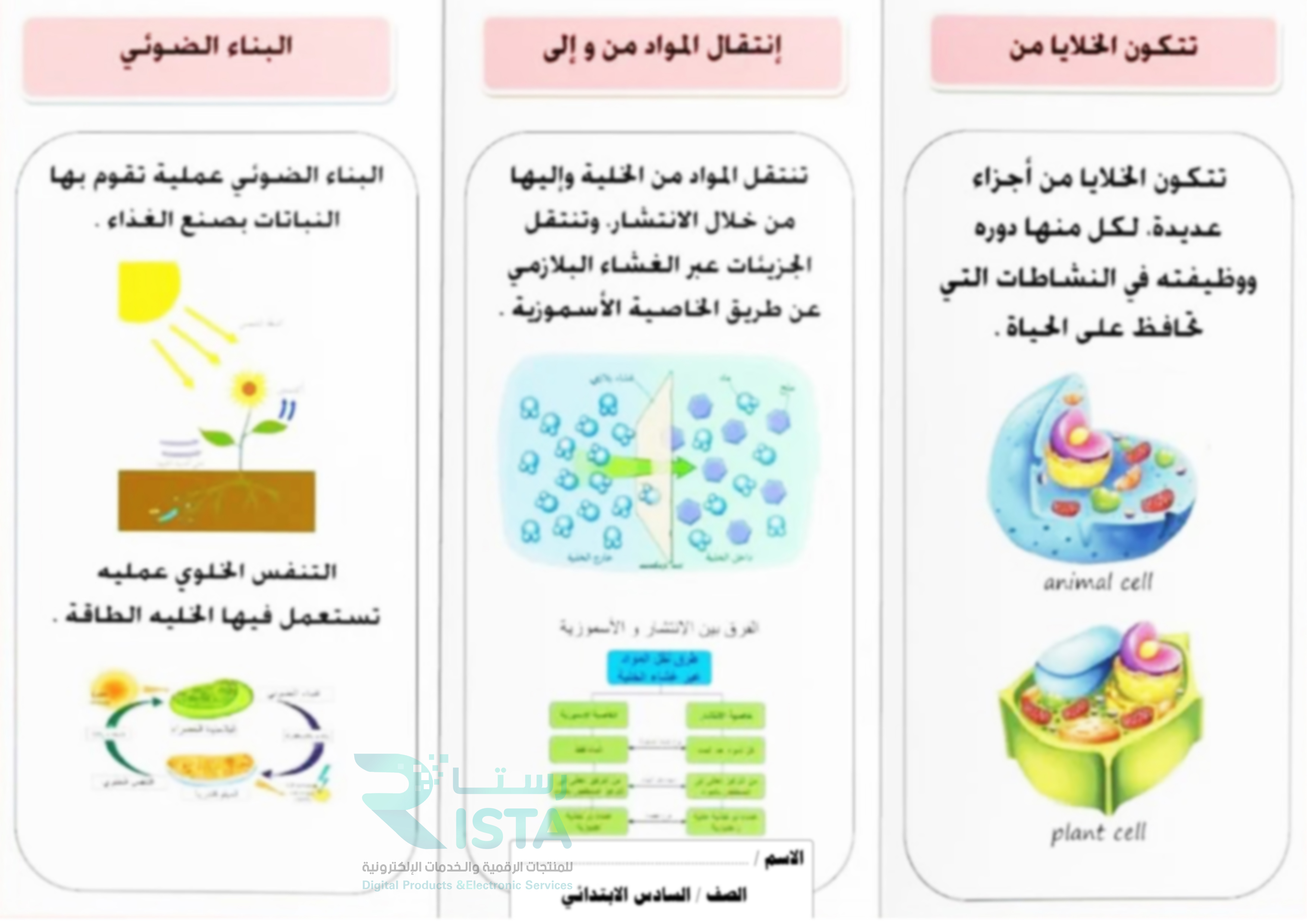 مطوية الخلية النباتية علوم الصف السادس الإبتدائي