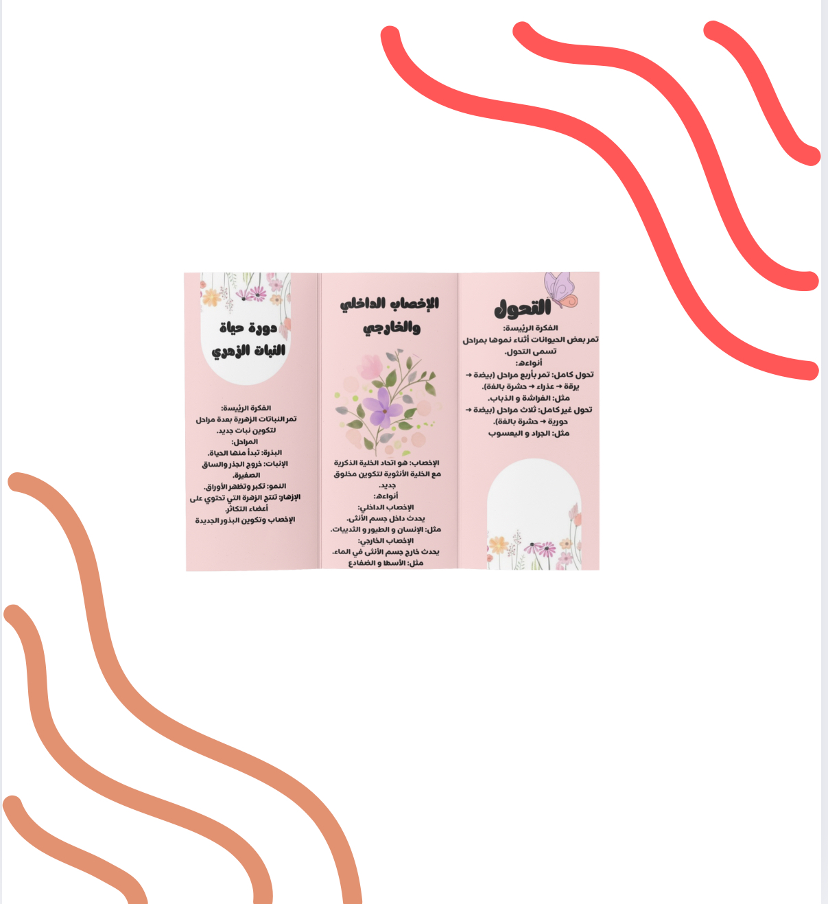 مطوية علوم خامس دورة الحياة