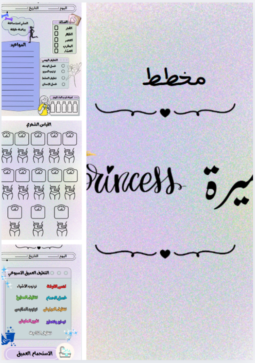 منظم شهري اميرة