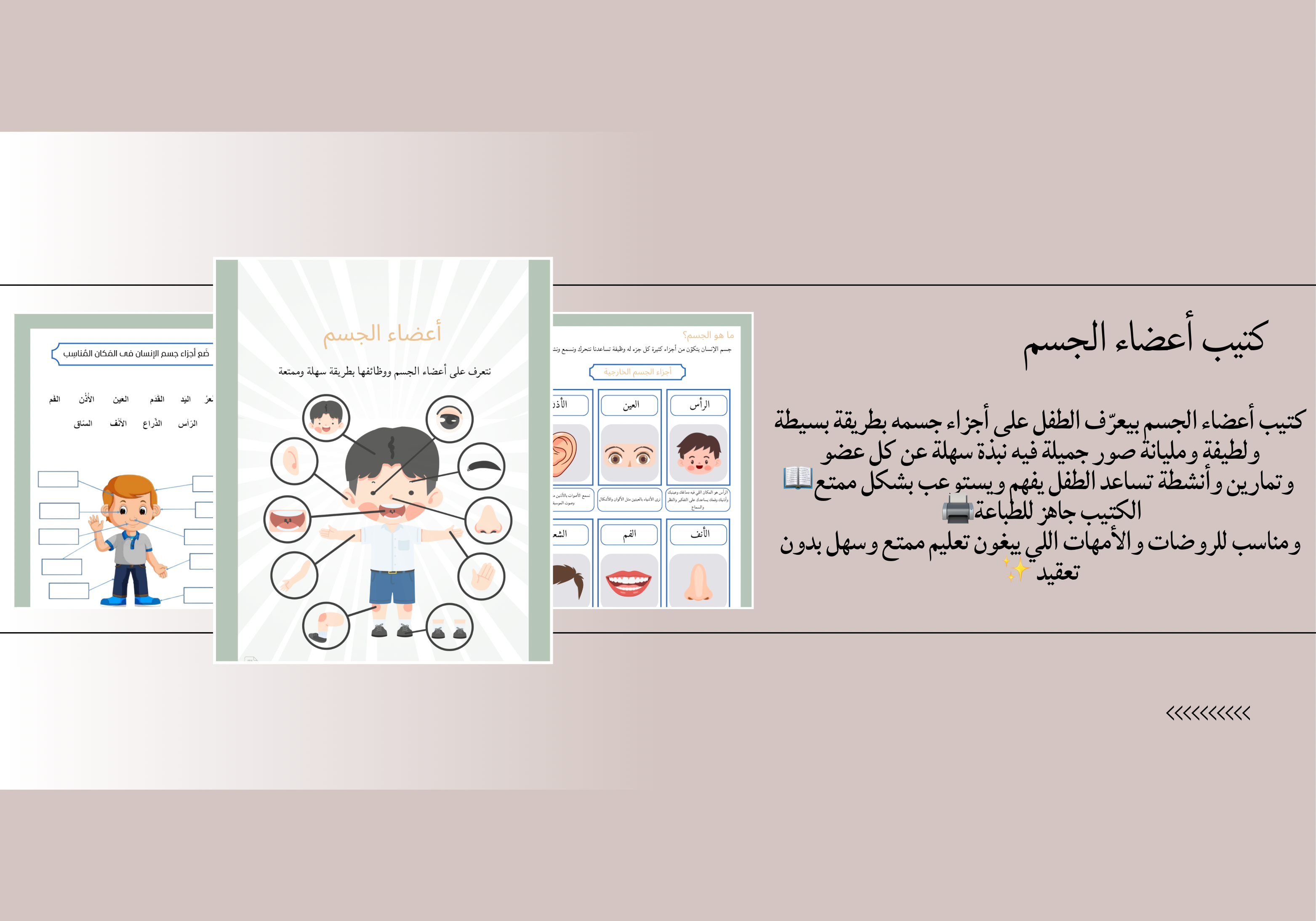 نلعب ونتعلم أعضاء الجسم