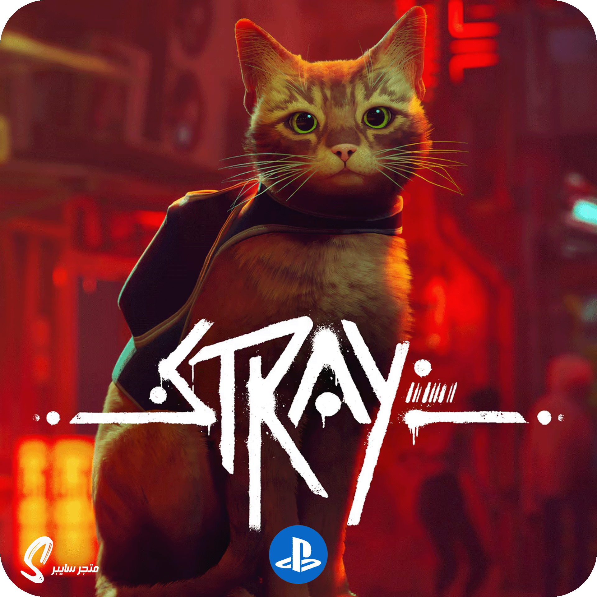 لعبة ستراي للبلاستيشن - Stray