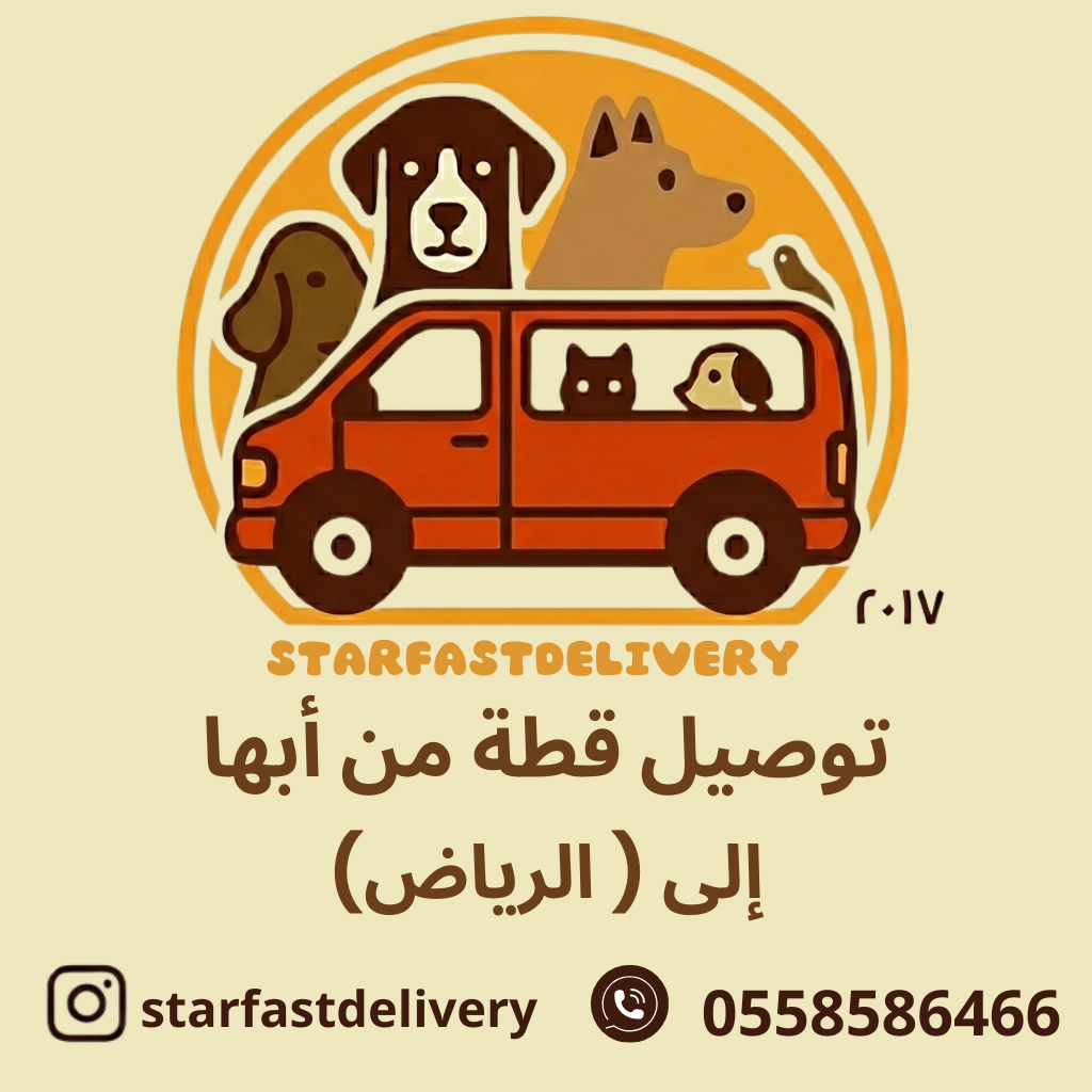 توصيل قطة من أبها للرياض