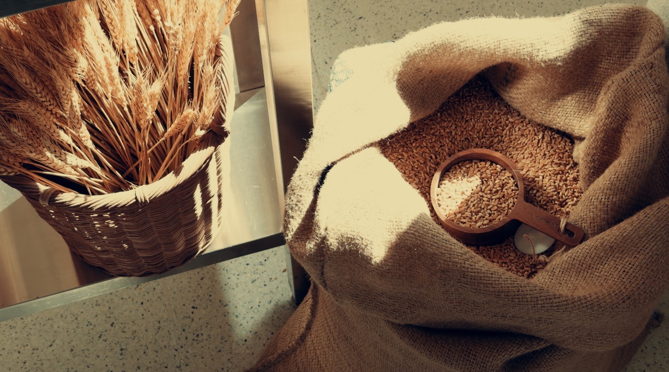 Warm Cine |  فلتر  سينمائي دافـئ