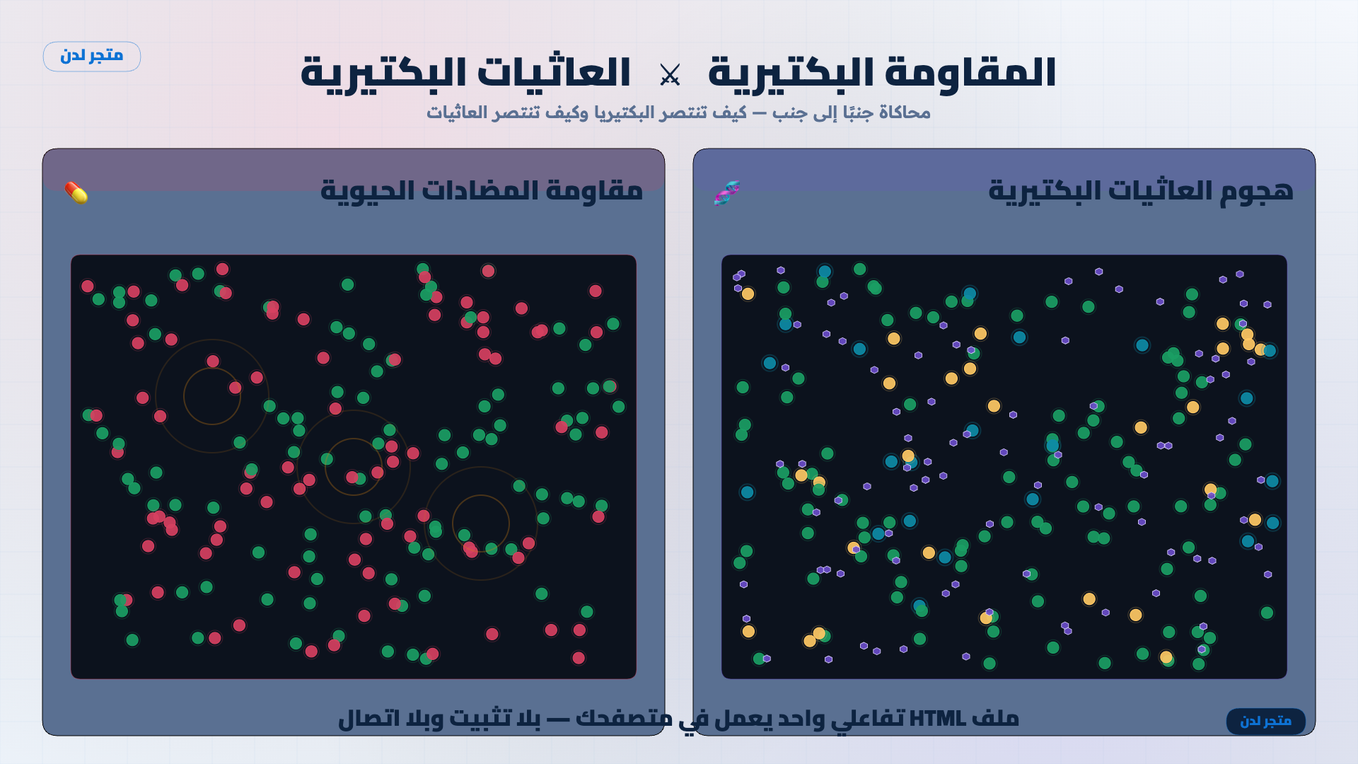 محاكاة تفاعلية: مقاومة المضادات الحيوية ⚔ العاثيات البكتيرية