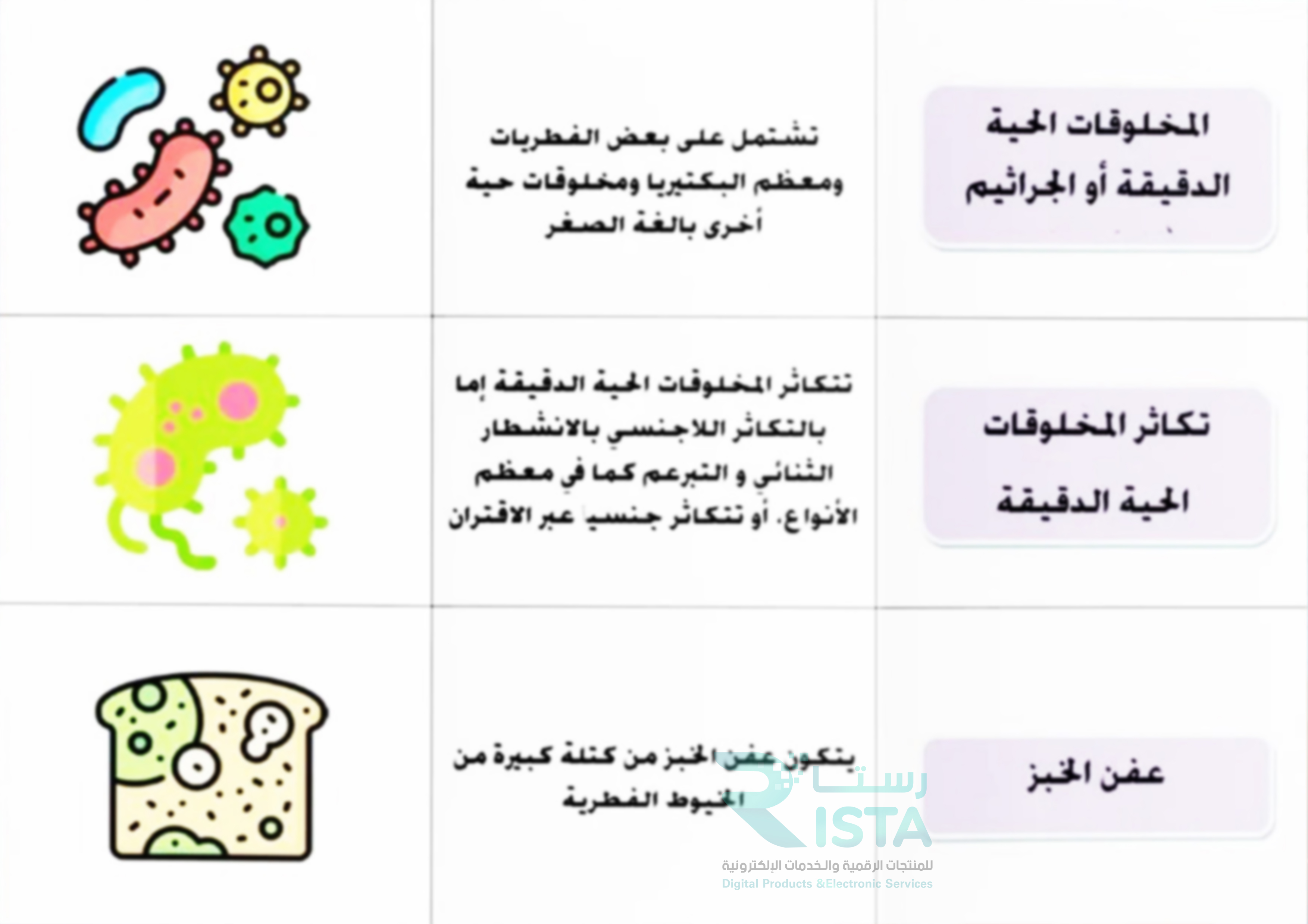مطوية المخلوقات الحية الدقيقة علوم الصف السادس الإبتدائي