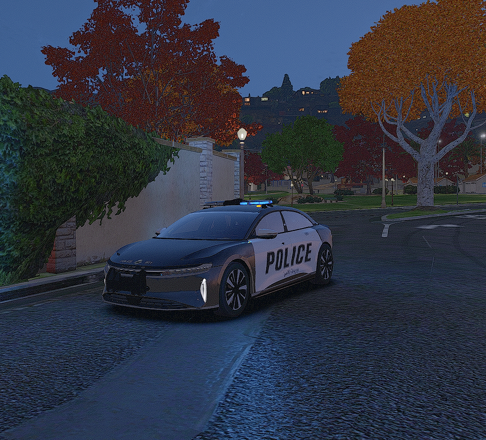 لوسيد الامن العام