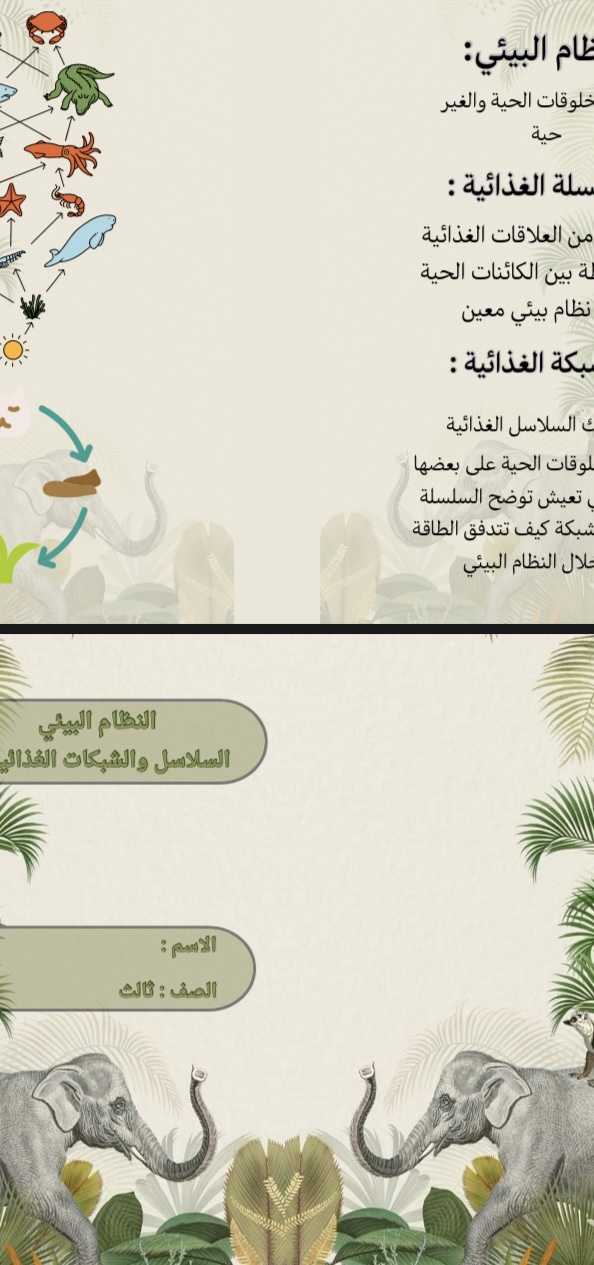 مطوية علوم درس السلاسل وشبكات الغذائية صف ثالث