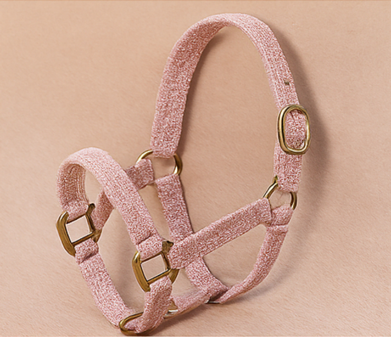 رشمه خيل عربي وردي