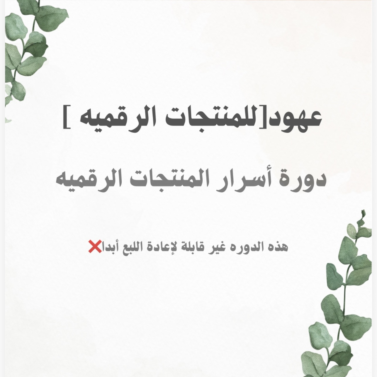 دورة المنتجات الرقميه