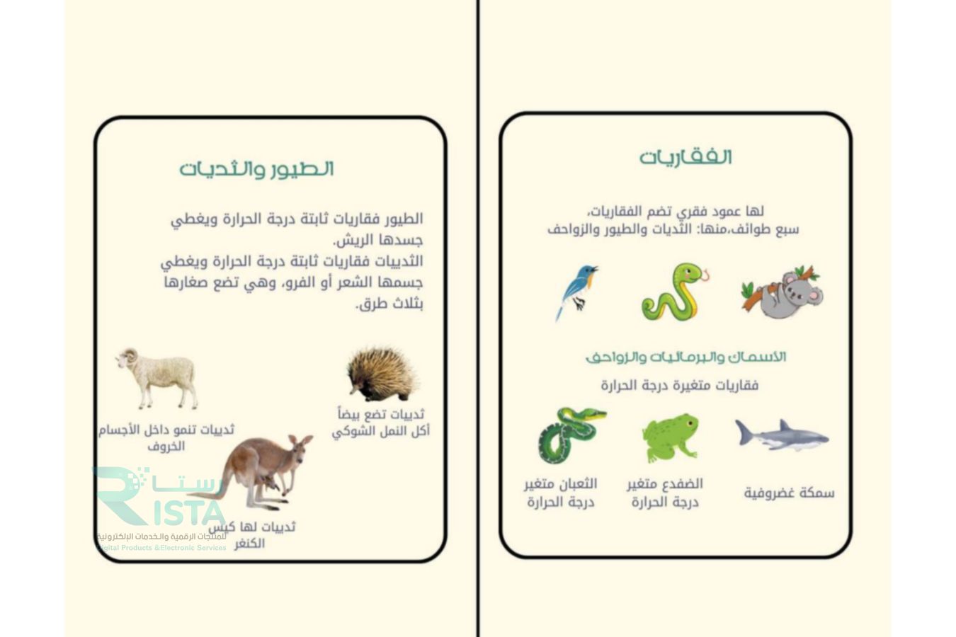مطوية الفقاريات علوم رابع ابتدائي  الفصل الدراسي الأول