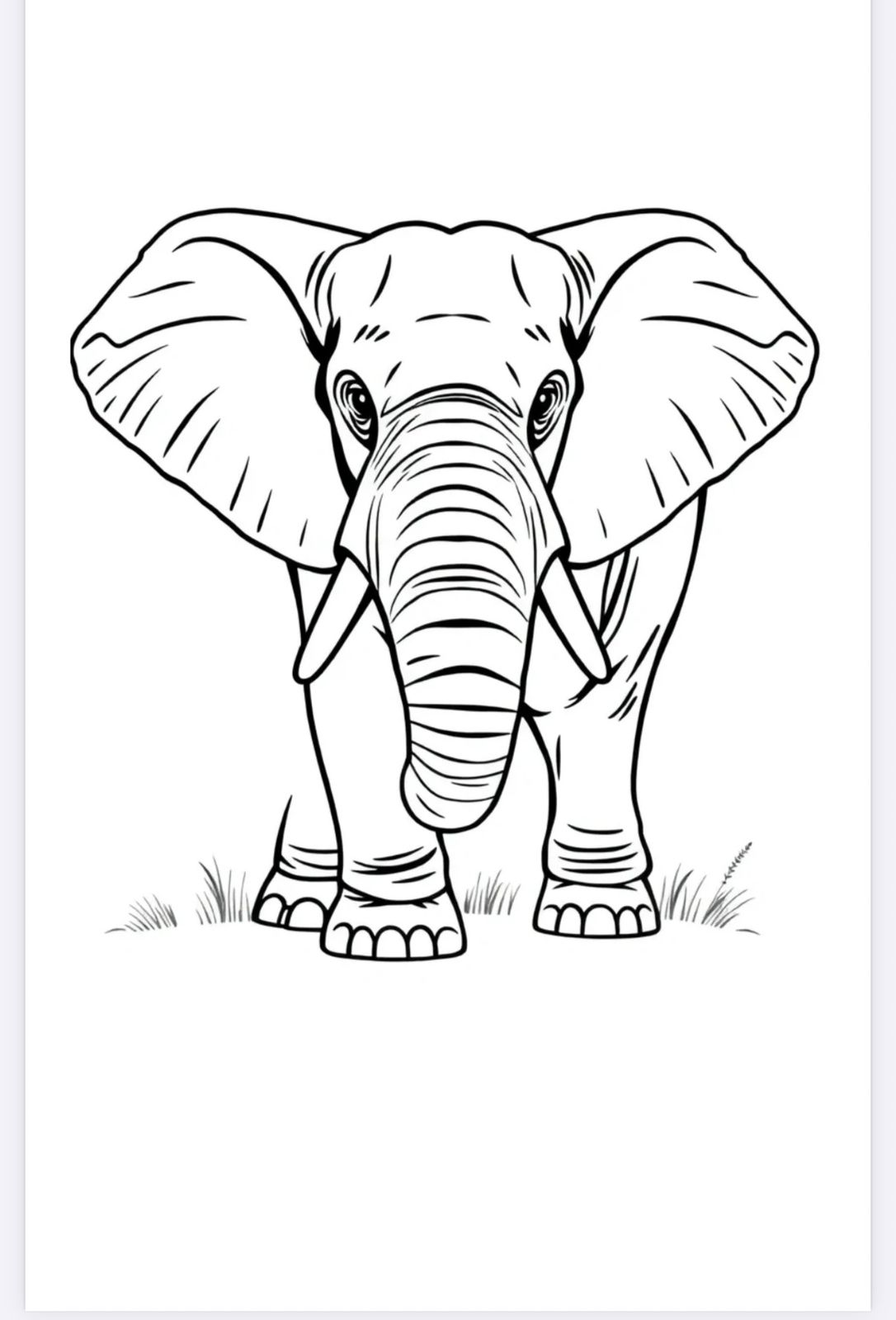 Cute Animal Coloring Adventure – Fun & Easy Activity Book for Kids Ages 3–10