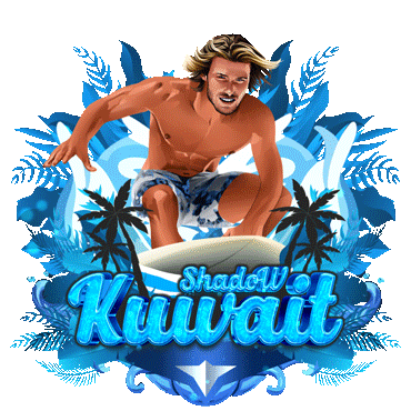 دعـم 10$