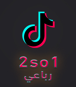 2so1