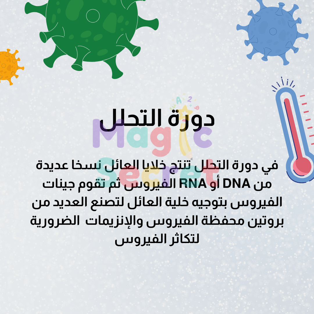 مطوية ادورة الاندماجية