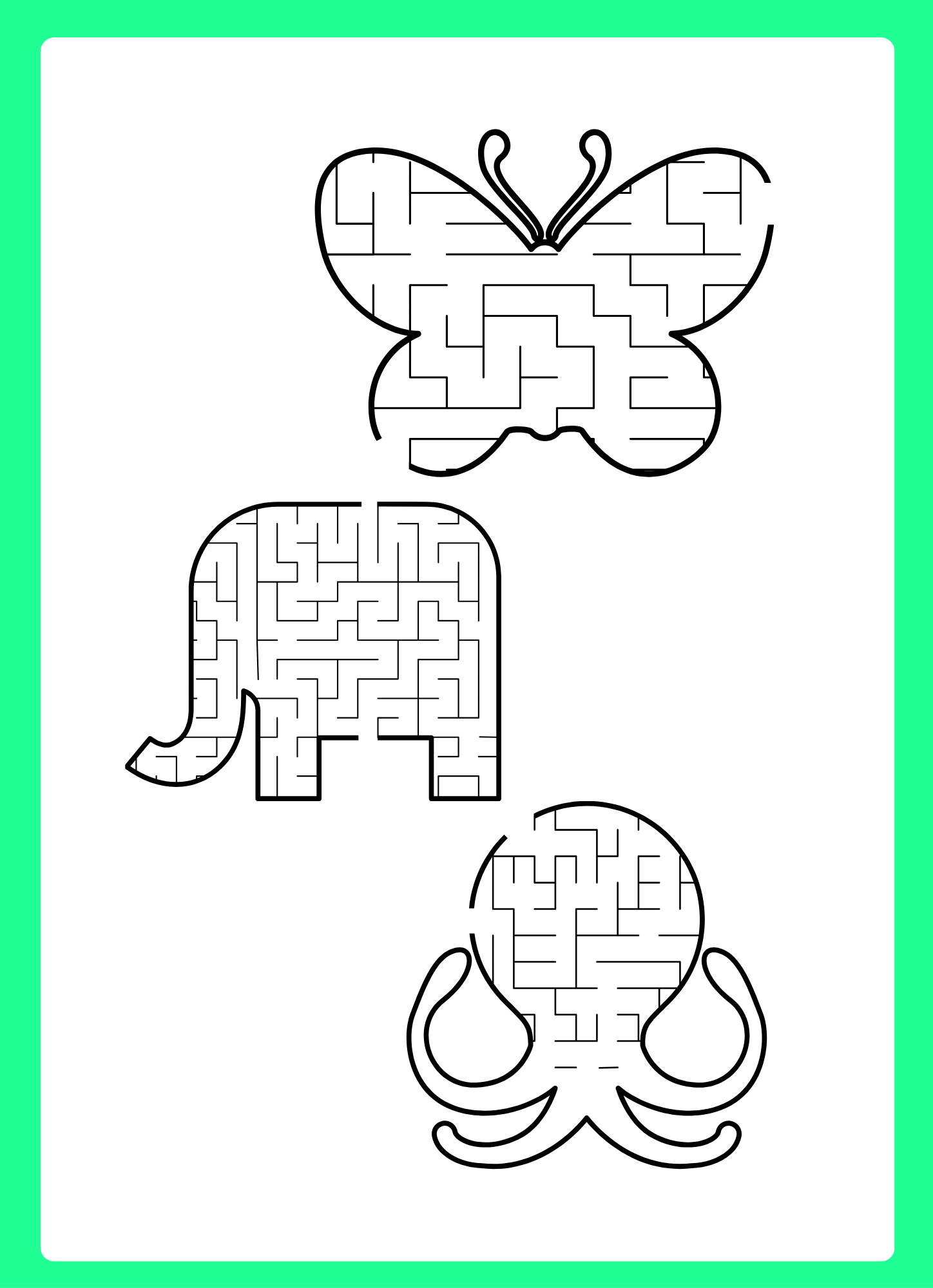 كراسة النشاط المتنوعه