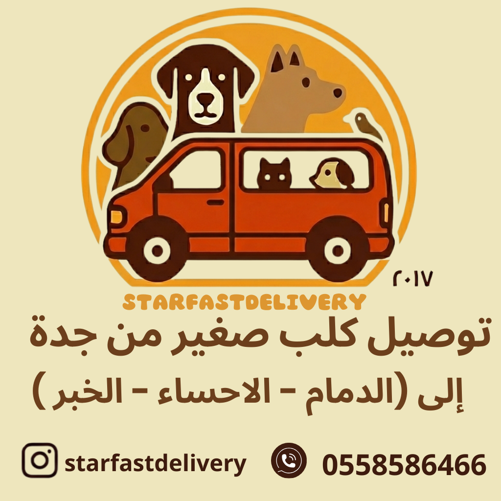 توصيل كلب صغير من جدة (للدمام - الاحساء - الخبر )